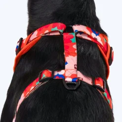 HUFT Petal Play Adjustable Dog Harness - Orange