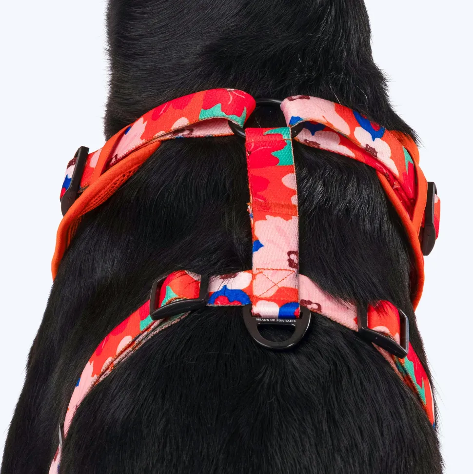 HUFT Petal Play Adjustable Dog Harness - Orange