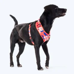 HUFT Petal Play Adjustable Dog Harness - Orange