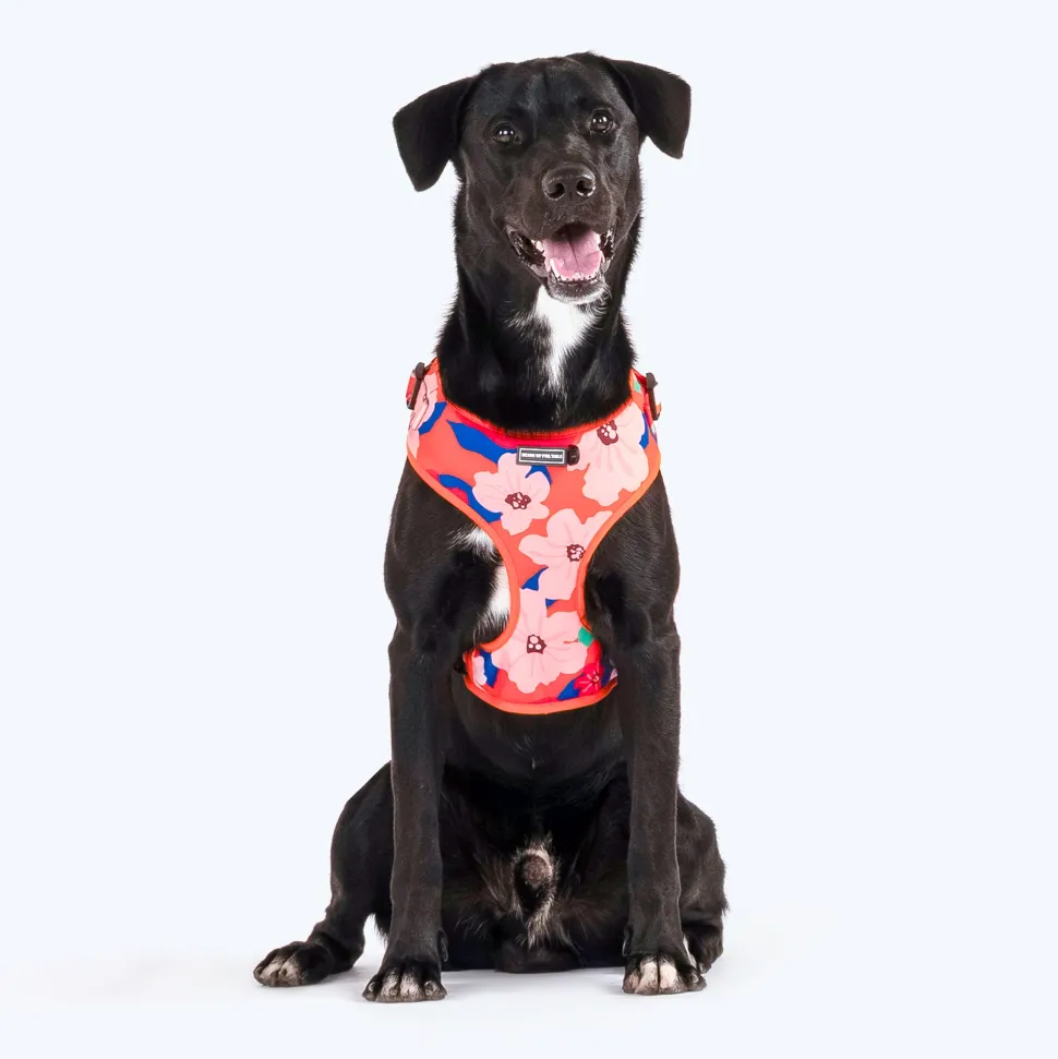 HUFT Petal Play Adjustable Dog Harness - Orange