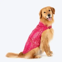HUFT Petals & Pyaar Brocade Sherwani For Dog & Cat - Rani Pink