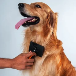 HUFT Pet Massage Brush