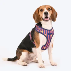 HUFT Playstripes Adjustable Harness For Dog - Rust & Navy