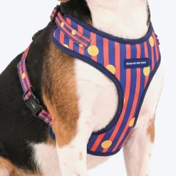 HUFT Playstripes Adjustable Harness For Dog - Rust & Navy
