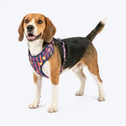 HUFT Playstripes Adjustable Harness For Dog - Rust & Navy