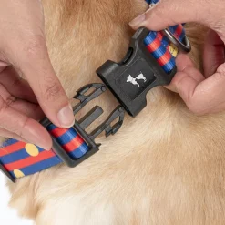 HUFT Playstripes Collar For Dog - Rust & Navy