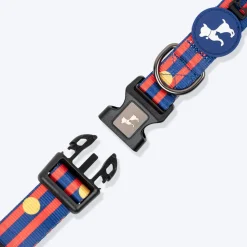 HUFT Playstripes Collar For Dog - Rust & Navy