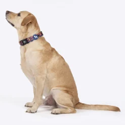 HUFT Playstripes Collar For Dog - Rust & Navy