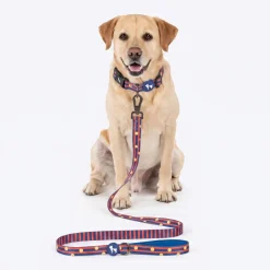 HUFT Playstripes Leash For Dog - Rust & Navy