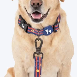 HUFT Playstripes Leash For Dog - Rust & Navy