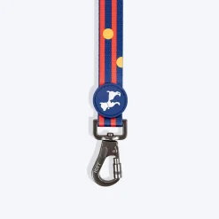 HUFT Playstripes Leash For Dog - Rust & Navy
