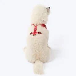 HUFT Polka Play Adjustable Harness For Dog - Red