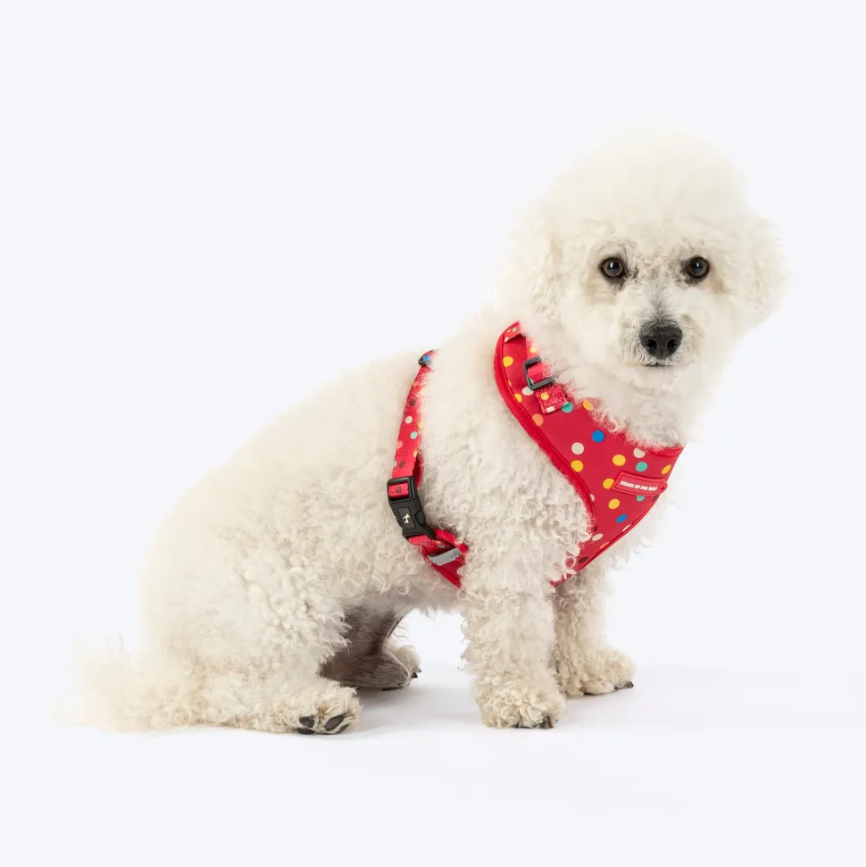 HUFT Polka Play Adjustable Harness For Dog - Red