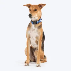 HUFT Polka Play Collar For Dog - Blue