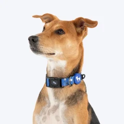 HUFT Polka Play Collar For Dog - Blue