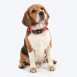 HUFT Polka Play Collar For Dog - Red