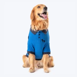 HUFT Polo T-Shirt For Dog - Blue