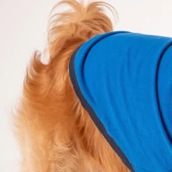 HUFT Polo T-Shirt For Dog - Blue