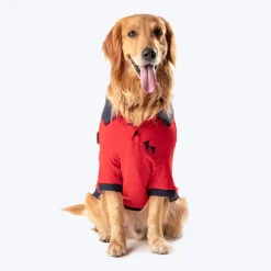 HUFT Polo T-Shirt For Dog - Red