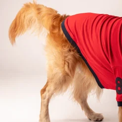 HUFT Polo T-Shirt For Dog - Red