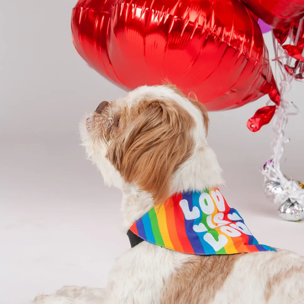 HUFT Pride Love is Love Dog Bandana