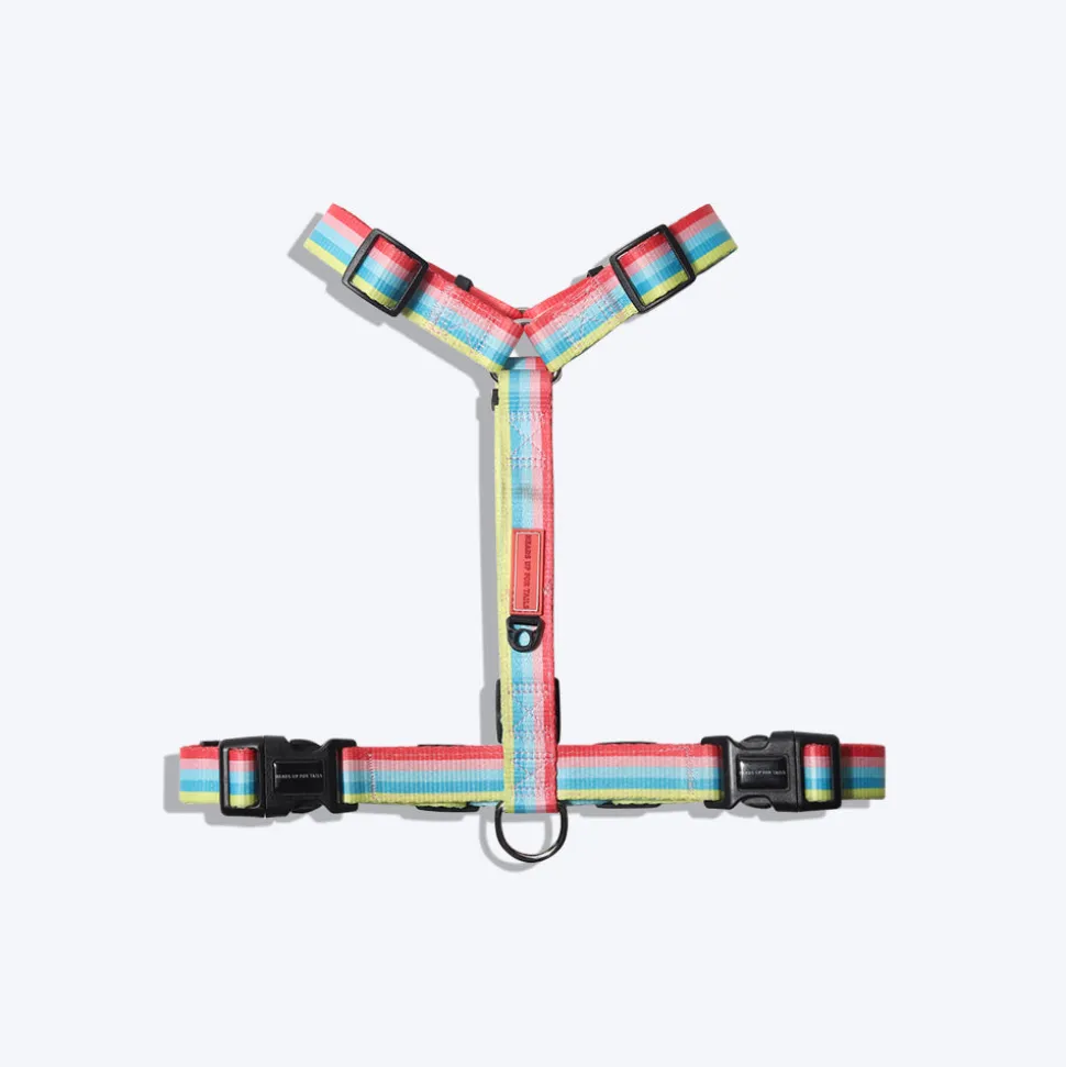 HUFT Pride Rainbow Popsicle Dog H-Harness