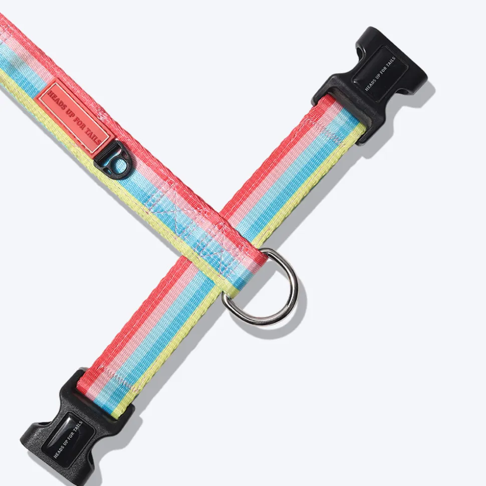 HUFT Pride Rainbow Popsicle Dog H-Harness