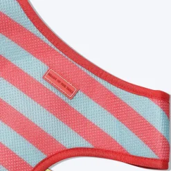 HUFT Pride Rainbow Popsicle Reversible Dog Harness