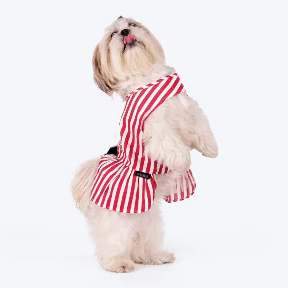 HUFT Printed Cotton Stripe Dress For Dog - Red