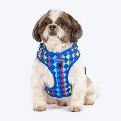 HUFT Prism Patterns Adjustable Harness For Dog - Blue