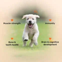 HUFT Puppy Nutrition Bundle