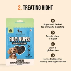 HUFT Puppy Nutrition Bundle