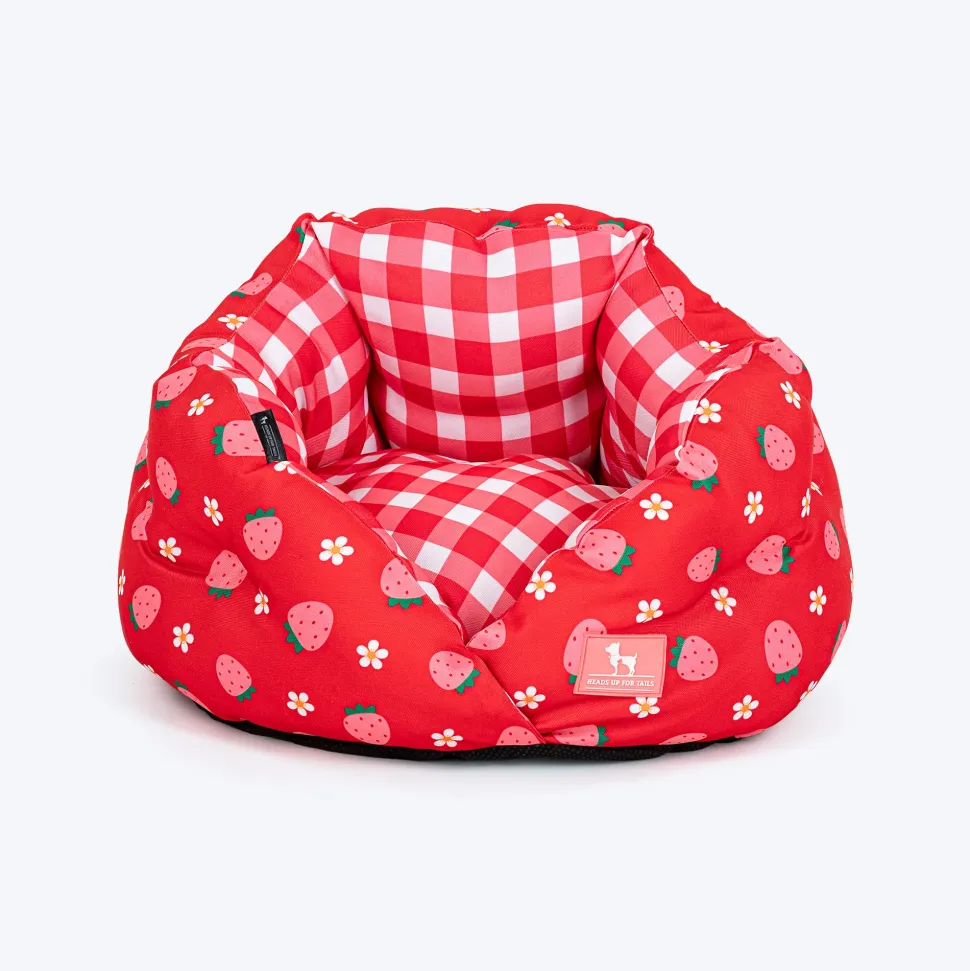 HUFT Purrfect Perch Bed For Cat & Puppy - Red and Pink