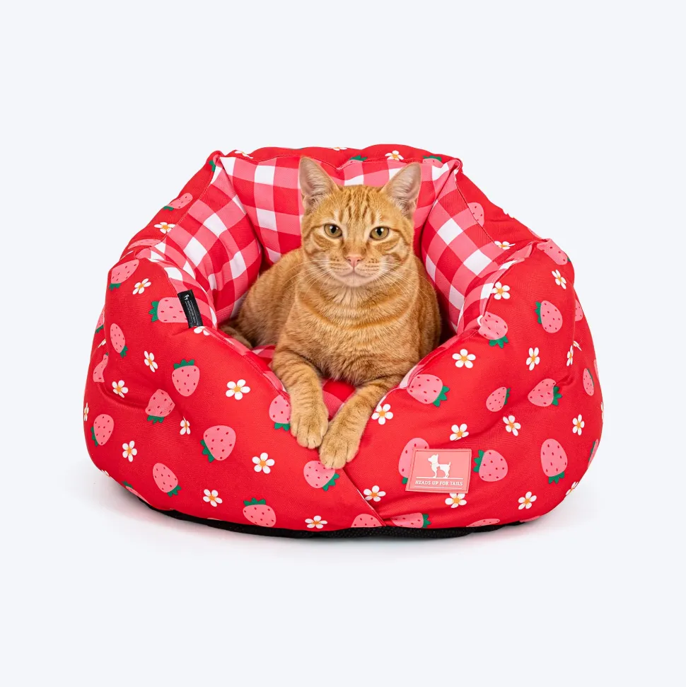 HUFT Purrfect Perch Bed For Cat & Puppy - Red and Pink