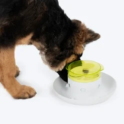 HUFT Push Push Yum! Treat Dispensing Interactive Toy For Dog - White & Green
