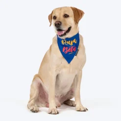 HUFT Raja Beta Bandana For Dog - Blue
