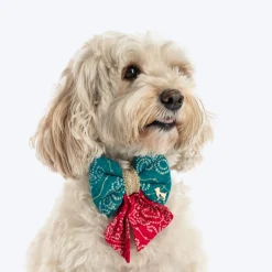 HUFT Rang Biranga Bow Tie For Dog - Green & Pink