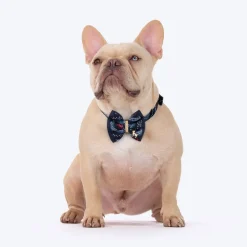 HUFT Rang Riwaz Bow Tie With Strap For Dog - Blue