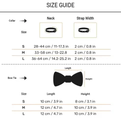 HUFT Rang Riwaz Bow Tie With Strap For Dog - Blue