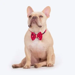 HUFT Rang Riwaz Bow Tie With Strap For Dog - Pink