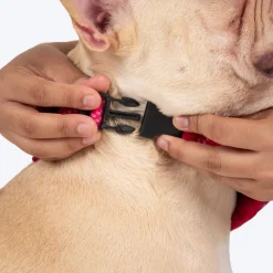 HUFT Rang Riwaz Bow Tie With Strap For Dog - Pink