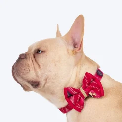 HUFT Rang Riwaz Bow Tie With Strap For Dog - Pink
