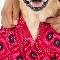 HUFT Rang Riwaz Kurta For Dog & Cat - Pink