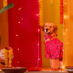 HUFT Rang Riwaz Kurta For Dog & Cat - Pink