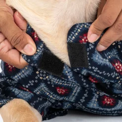 HUFT Rang Riwaz Kurta For Dog & Cat - Blue