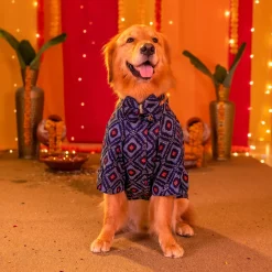 HUFT Rang Riwaz Kurta For Dog & Cat - Blue