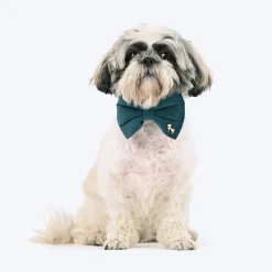 HUFT Regal Luxe Collar With Bow Tie For Dog - Green