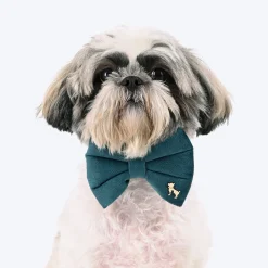 HUFT Regal Luxe Collar With Bow Tie For Dog - Green