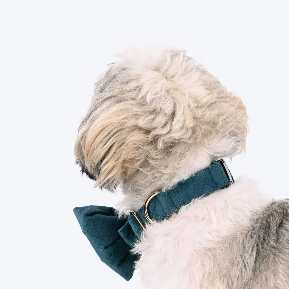 HUFT Regal Luxe Collar With Bow Tie For Dog - Green