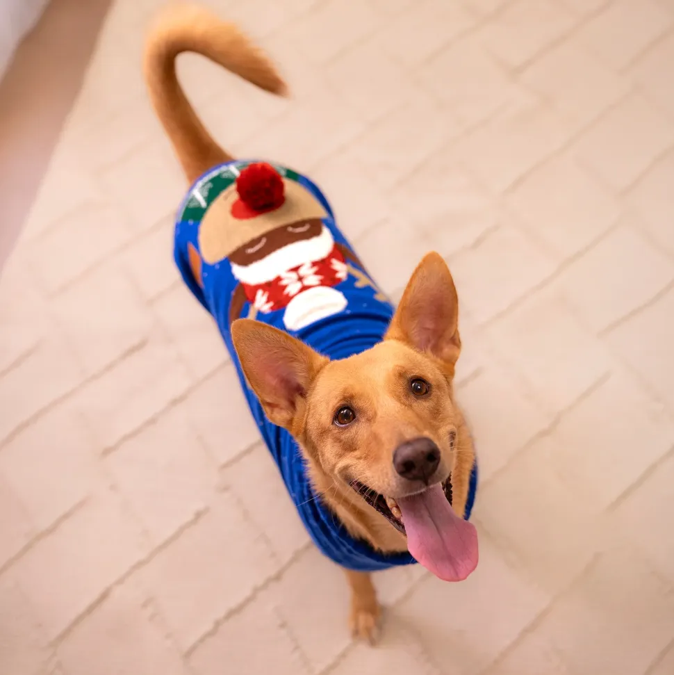 HUFT Reindeer Cheer Sweater For Dog - Blue